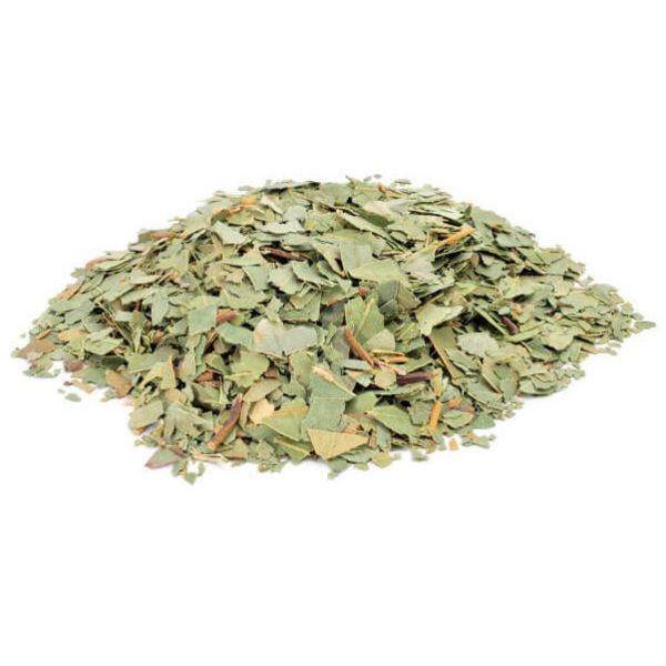 Eucalyptus Leaf (organic)