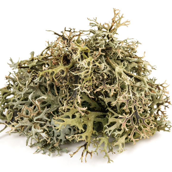 Iceland Moss (powdered)