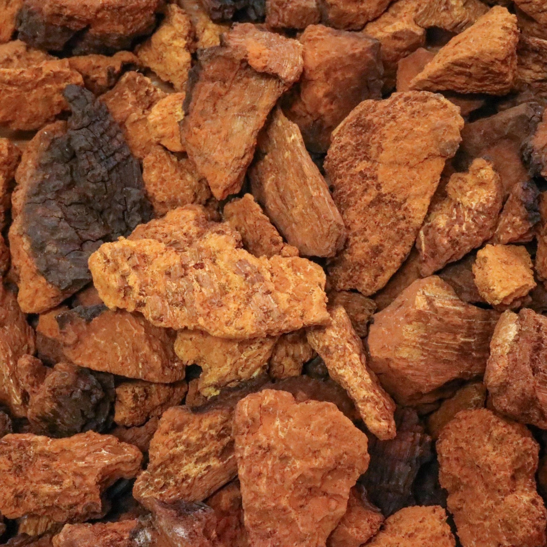 Chaga Chunks (wild)