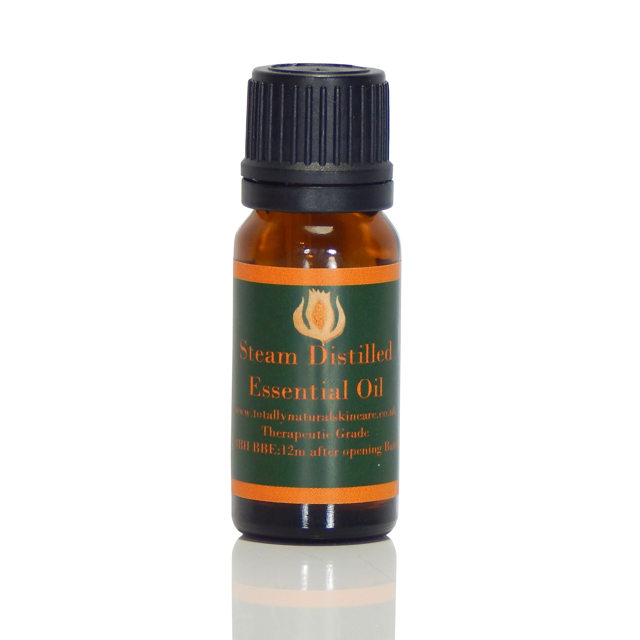 Oregano (organic, premium food grade)